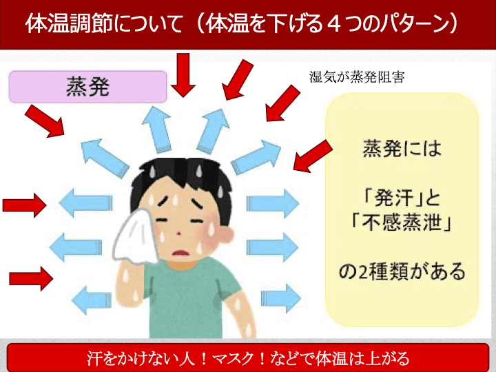 蒸発：体温調節について（体温を下げる4つのパターン）