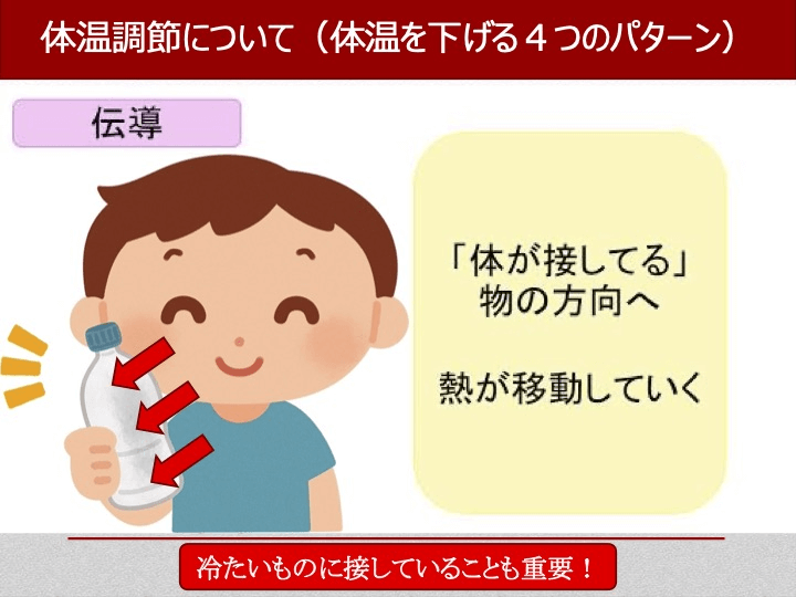 伝道：体温調節について（体温を下げる4つのパターン）