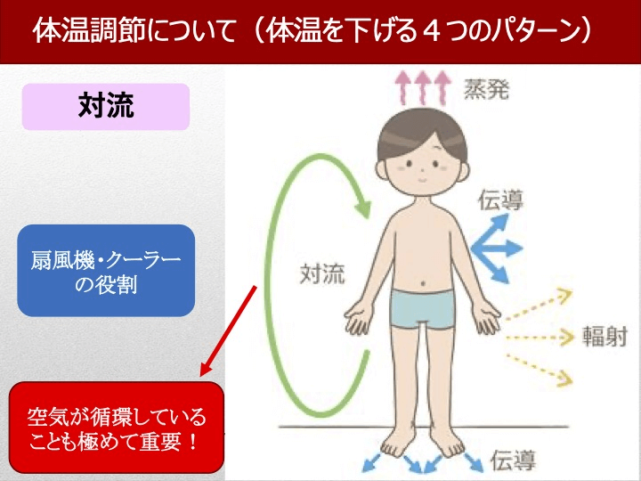 対流：体温調節について（体温を下げる4つのパターン）