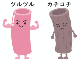 ツルツルの血管、カチコチの血管のイラスト